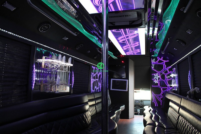 26 Passenger Party Bus Rental Houston