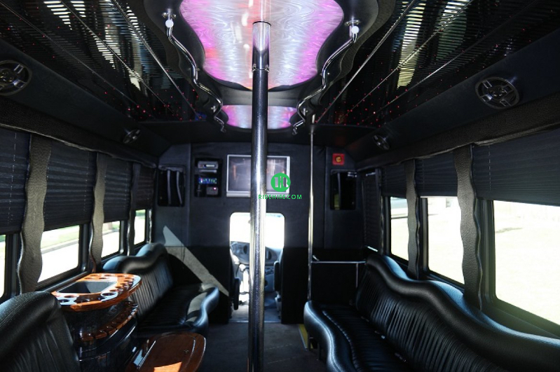 20 Passenger Party Bus Rental Houston