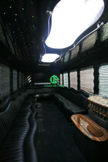 20 Passenger Party Bus Rental Houston