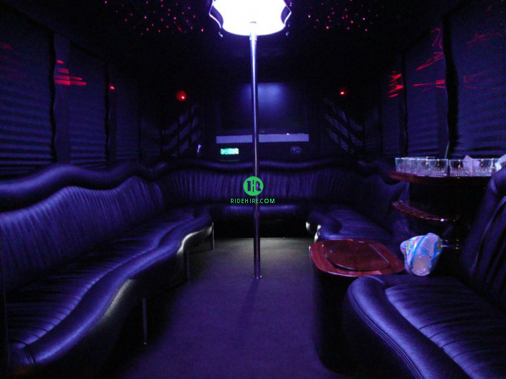 20 Passenger Party Bus Rental Houston