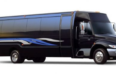 Black 28 Passenger International  Party Bus Rental in Houston, TX (#RH390) - Main View