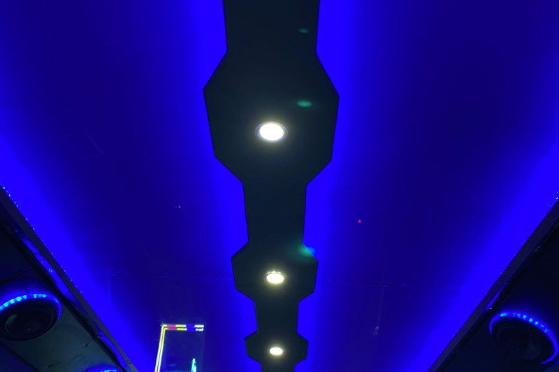 Ford E-450 Party Bus