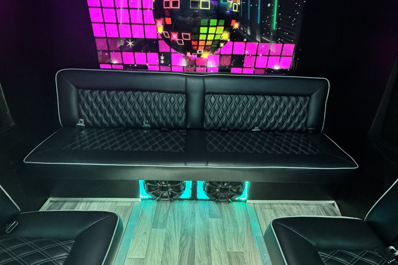 Ford E-450 Party Bus