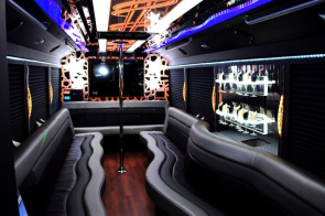Best Price 26 Passenger Party Bus Houston,TX | Ridehire.com